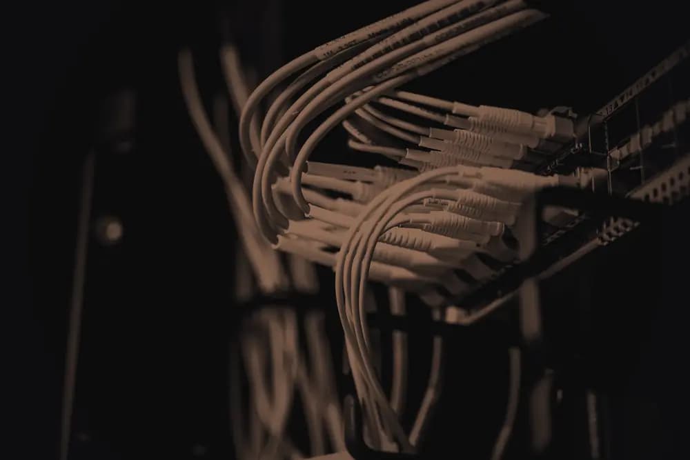 Cables de red saliendo de un panel