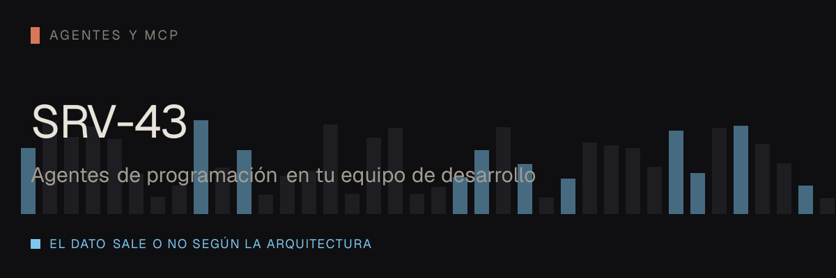 Agentes de programación en tu equipo de desarrollo — servicio SRV-43 de serviciosia, nivel de agentes y mcp: el dato sale o no según la arquitectura que elijas.