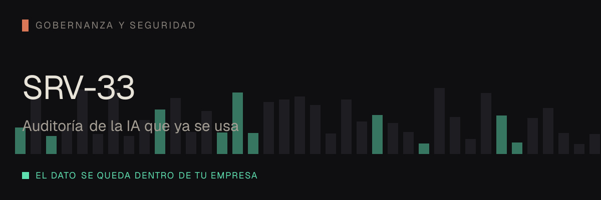 Auditoría de la IA que ya se usa — servicio SRV-33 de serviciosia, nivel de gobernanza y seguridad: el dato se queda dentro de tu empresa.