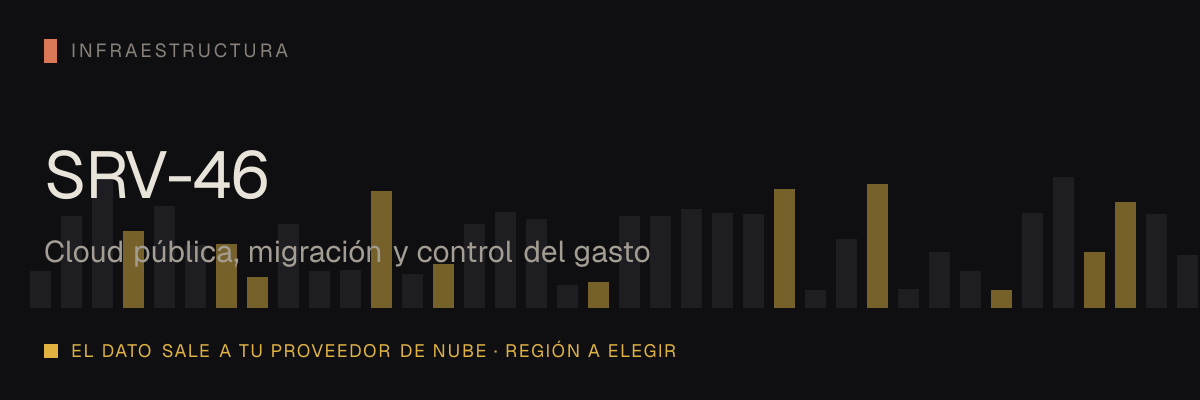 Cloud pública, migración y control del gasto — servicio SRV-46 de serviciosia, nivel de infraestructura: el dato sale a tu proveedor de nube · región a elegir.